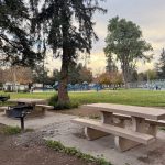 Willow Glen
